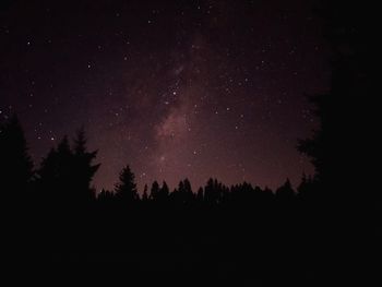 Low angle view of silhouette trees against sky at night