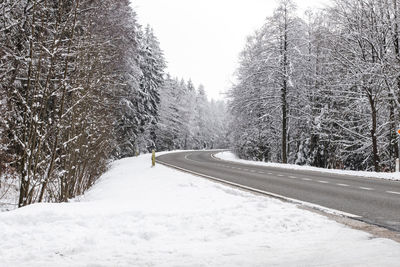 Beautiful view of the road in the winter forest.