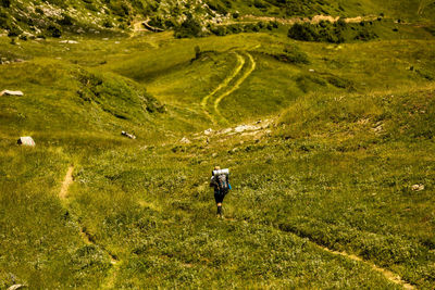Back view of unrecognizable male traveler walking on grassy past in green valley against mountain ridge in pyrenees
