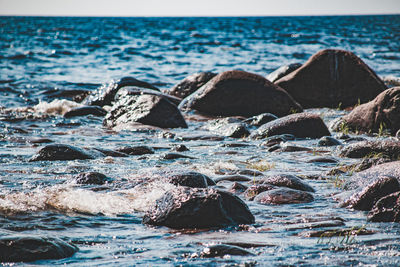 Surface level of rocks on beach