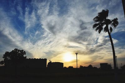 Silhouette trees at sunset