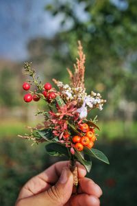 Close-up of hand holding flowers and berries on field