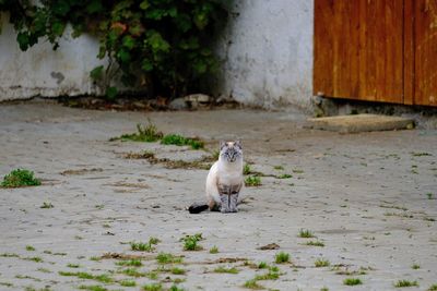 View of bird in zoo