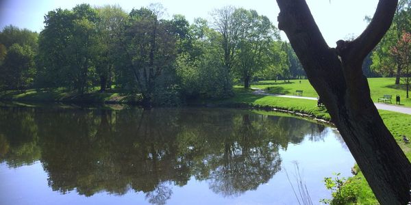 Reflection of trees in lake against sky