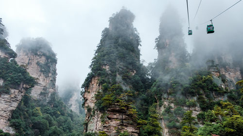 View of overhead cable car amidst trees against sky