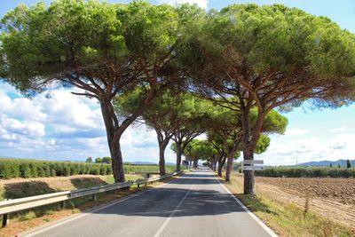 Road amidst trees against sky