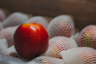 Close-up of christmas decorations