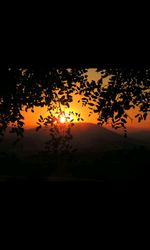 Silhouette of trees at sunset