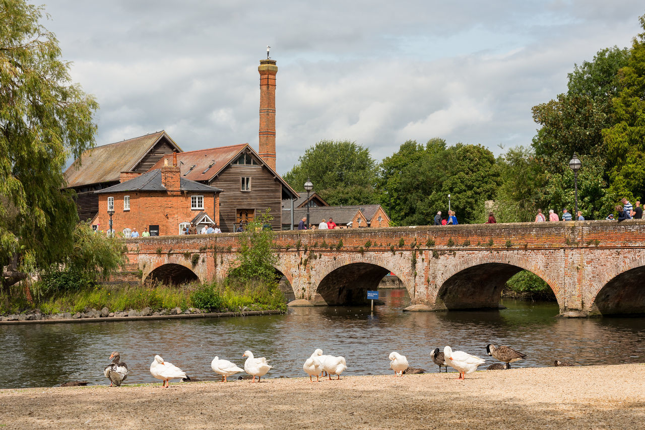 Tramway bridge