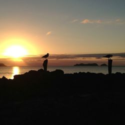 Scenic view of sea at sunset