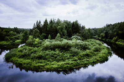 Scenic view of lake by trees against sky