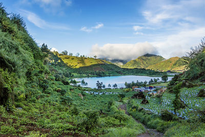 Morning at cebong lake, dieng plateau, indonesia. scenic view of landscape against sky