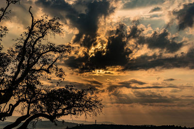 Silhouette of trees against cloudy sky