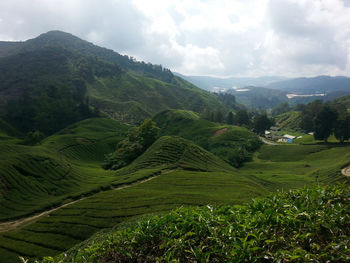 Scenic view of green landscape against sky