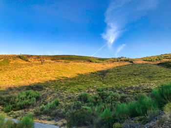 Scenic view of field against blue sky