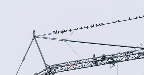 Crows on the crane arm on cloudy day
