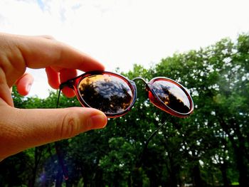 Close-up of hand holding sunglasses against trees