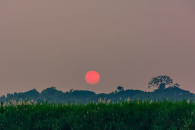 Scenic view of field against sky during sunset