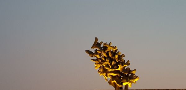 Close-up of yellow flowering plant against clear sky