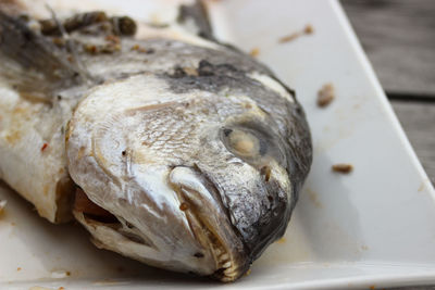 Close-up of fish on table