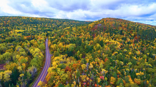 High angle view of trees and mountains against sky