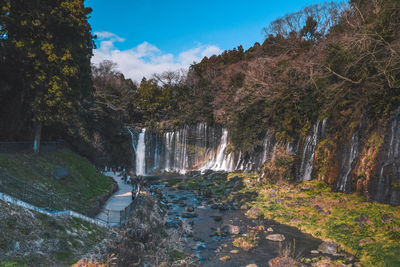 Scenic view of waterfall in forest against sky