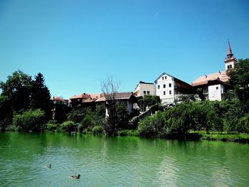 Birds by lake against clear sky