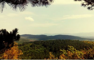 Scenic view of tree mountains against sky