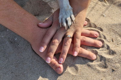 Close up of a dog's paw resting on top of a couple's hands on the beach illustrating their deep bond