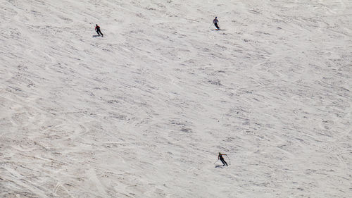 skiing