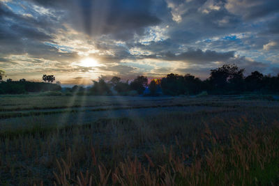 Scenic view of field against sky during sunset