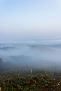 Scenic view of landscape against sky during foggy weather