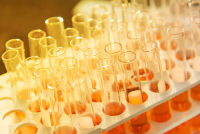 Close-up of test tubes on rack at laboratory