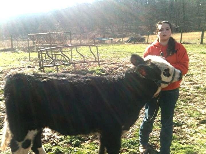 Me and my steer