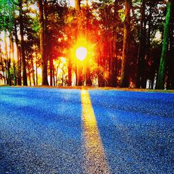 Road amidst trees during sunset