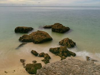 High angle view of rocks on shore 