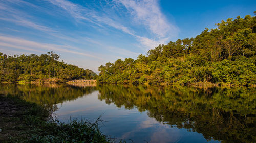 Scenic view of lake by trees against sky