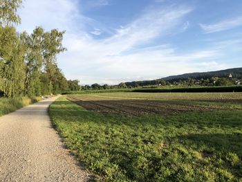 Road amidst trees on field against sky