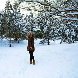 snow