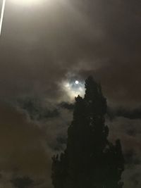 Low angle view of silhouette tree against sky during sunset