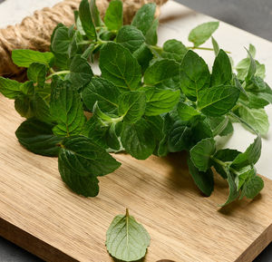 Close-up of leaves on cutting board