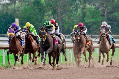 Rear view of man riding horses on field
