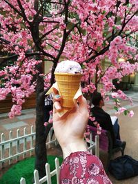 Low section of woman holding cherry blossom by tree