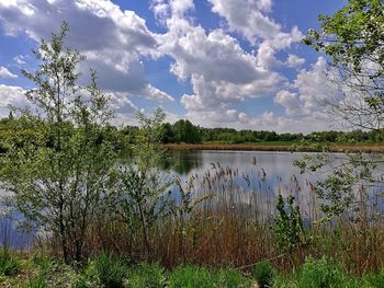 Scenic view of lake against sky