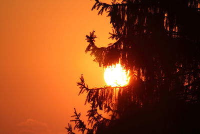 Silhouette of trees against sky during sunset