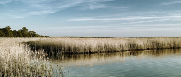 Scenic view of lake against sky