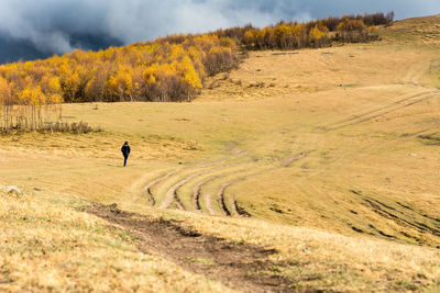 Scenic view of horse on field against sky