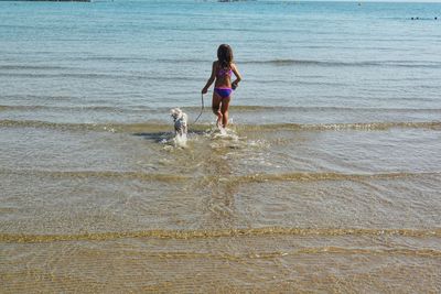 Rear view of girl with dog walking in sea during sunny day