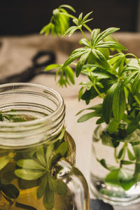 Close-up of green jar