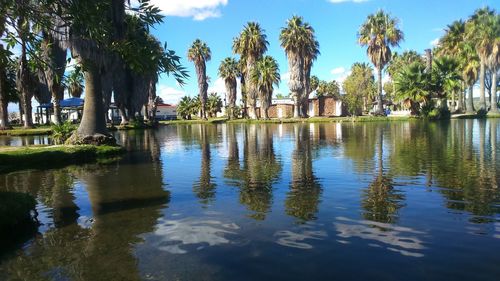 Reflection of palm trees in lake against sky